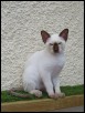 Zoran 13 week