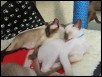 Shahar enjoys a cuddle with mum