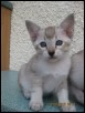 Seven weeks old