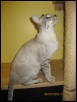 Mr Bubs at 11 Months