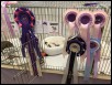 Asian Cat Assc. Show April 2017.  5 months old