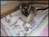 6 week birthday
