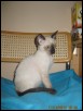 Triton - 11 weeks
