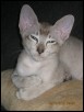 Halimede at 16 weeks