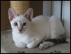 Donatella 15 weeks