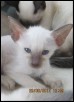 Mahina at 5 weeks