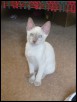 Shashi 14 weeks