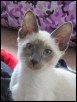 Kamaria 14 weeks