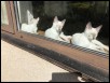 Diana, Soma &amp Shashi 18 weeks