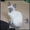 Kamaria 14 weeks