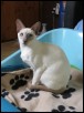 Mist at 7 months