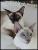 Mother & Daughter - Miz & Mist