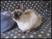 Miz at just 1 year