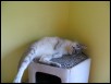 Raffy at 30 months old