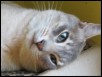 Raffy at 30 months old
