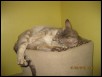 Favourite bed - 2 years old