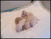 5 days old