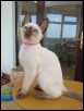Purnima 12 weeks