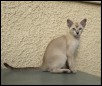 Bharani 12 weeks
