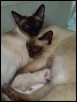 Tally with midwife Taurie