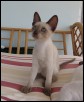 Raveena 12 weeks
