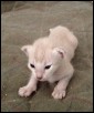 13 days and just like mum 