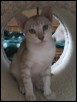 Talika 12 weeks