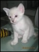 22 days old