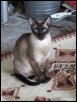 Xing at 5 yrs 8 mths