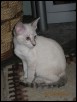 Cassie at 14 weeks