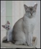 2019 Zohreh & Kitt