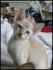 9 weeks